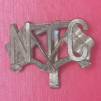 (South Africa) Natal Telegraph Corps - Gilding Metal Slouch Hat Badge.