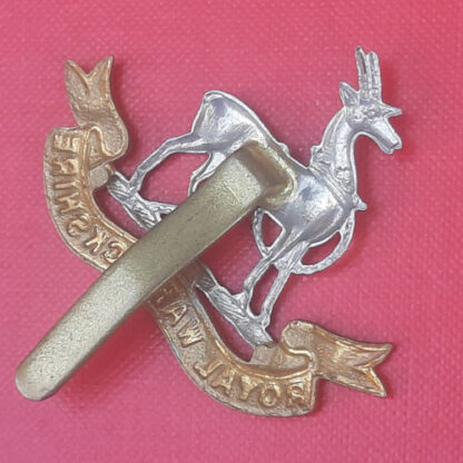 The Royal Warwickshire Regiment - Bi Metal Cap Badge. - Image 2