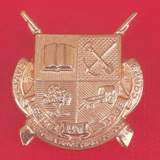 (South Africa) Pretoria Boys High School Cadet Corps - Gilding Metal Cap Badge.