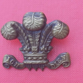 The Royal Devonshire Yeomanry - Blackened Brass Collar Badge.