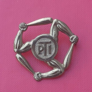 The Royal Air Force Physical Training Instructor - Gilding Metal Cap Badge.