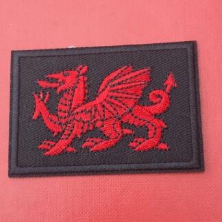 Clwyd & Gwyedd A.C.F - Cloth Patch.