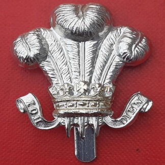 The Wiltshire Yeomanry - Silver & Gold Anodised Cap Badge.