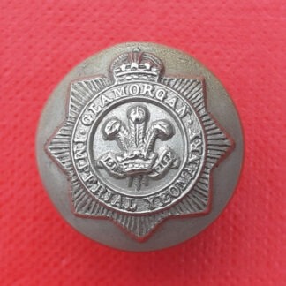 Glamorgan Yeomanry Cavalry - King's Crown 20mm Button.