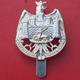 The Bedfordshire & Hertfordshire Regiment Territorials - Gold & Silver Anodised Cap Badge.