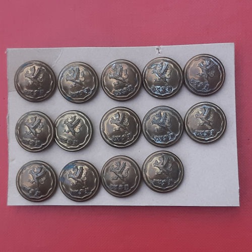 The West Somerset Yeomanry - Brass Buttons.