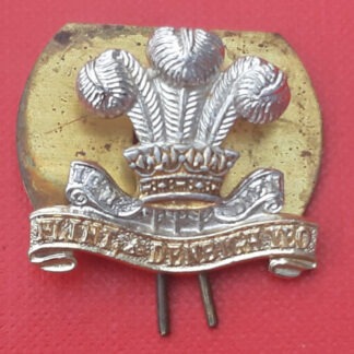 The Flint & Denbighshire Yeomanry - Gold & Silver Anodised Collar Badge.