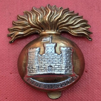 The Royal Inniskilling Fusiliers - Bi Metal Cap Badge.