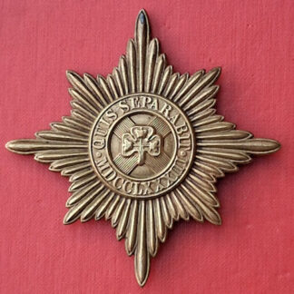 The Irish Guards - Gilding Metal Valise Badge.
