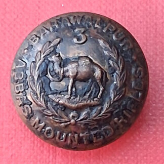 (India) 3rd Bahawalpur Abbas Mounted Rifles - 26mm Brass Button.