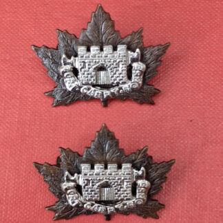 (Canada) The Fort Garry Horse - Bi Metal Collar Badges.