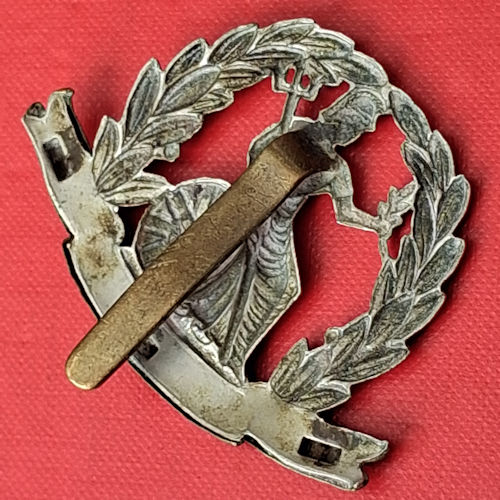 The Norfolk Regiment - Bi Metal Cap Badge. - Image 2