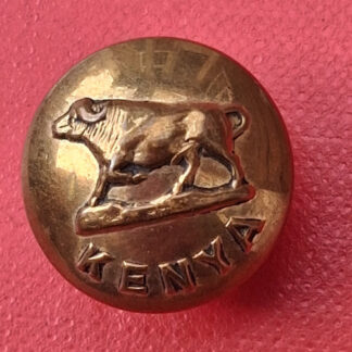 The Kenya Regiment T.F - 19mm Brass Button.