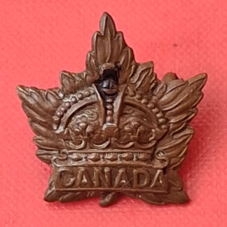 (Canada) General Service - King's Crown Gilding Metal Collar Badge.