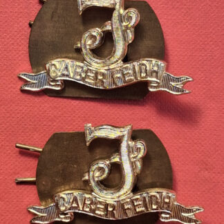 The Seaforth Highlanders - Gold Anodised Collar Badges.
