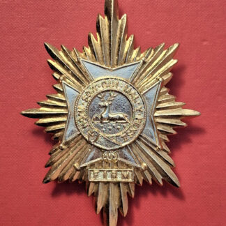 The Worcestershire & Sherwood Foresters - Gold Anodised Valise Badge.