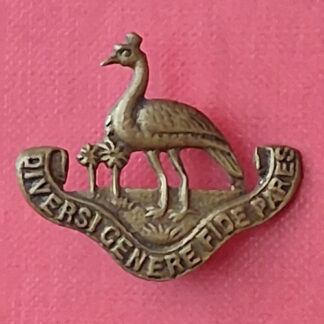 Northern Rhodesia Regiment - Gilding Metal Cap Badge.