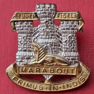 The Devon & Dorset Regiment - Officer's Silver & Gilt Cap Badge.