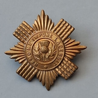 The Scots Guards - Gilding Metal Brodrick Cap Star.