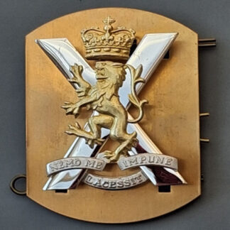 The Royal Regiment Of Scotland - Silver & Gilt Cap Badge.