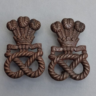 The North Staffordshire Regiment - Officer's Service Dress Bronze Collar Badges.