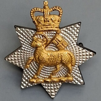 The Queen's Royal Surrey Regiment (T.A) - Queen's Crown Officer's Silver & Gilt Cap Badge.