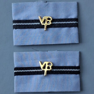 Royal Air Force Pilot Officer Volunteer Reserve Training - Gold Metal Pin, Slip-On Rank Slides.