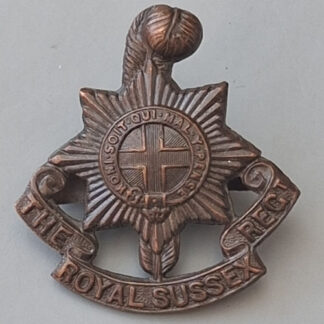 The Royal Sussex Regiment - Officer's Service Dress Cap Badge.
